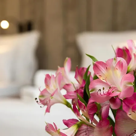 Abrazo By Hmg Hotel 4*